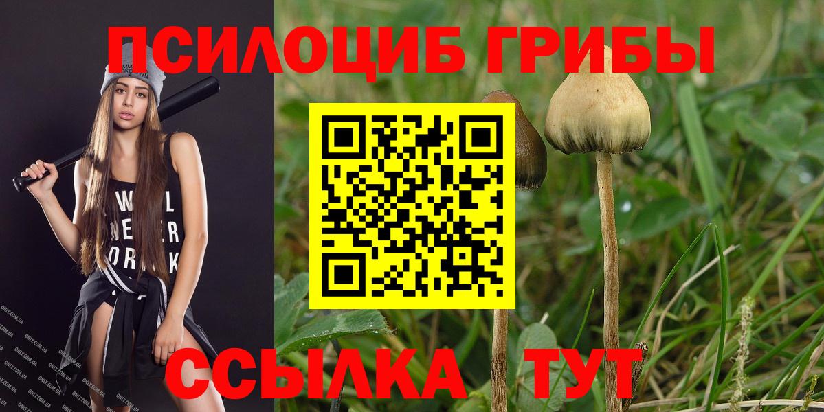 Псилоцибиновые грибы Psilocybine cubensis  Псилоцибиновые грибы Psilocybe  Тихорецк  Вход с VPN 